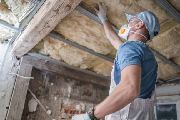 Best Insulation for Specific Applications in Unadilla, GA
