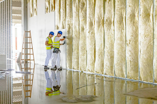 Best Commercial Insulation in Unadilla, GA